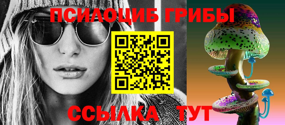 Псилоцибиновые грибы Psilocybe Кирово-Чепецк