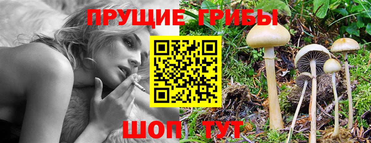 Псилоцибиновые грибы прущие грибы  Вход с VPN  Галлюциногенные грибы Psilocybe  Кирово-Чепецк 